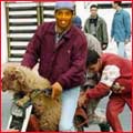 ronaldinho
